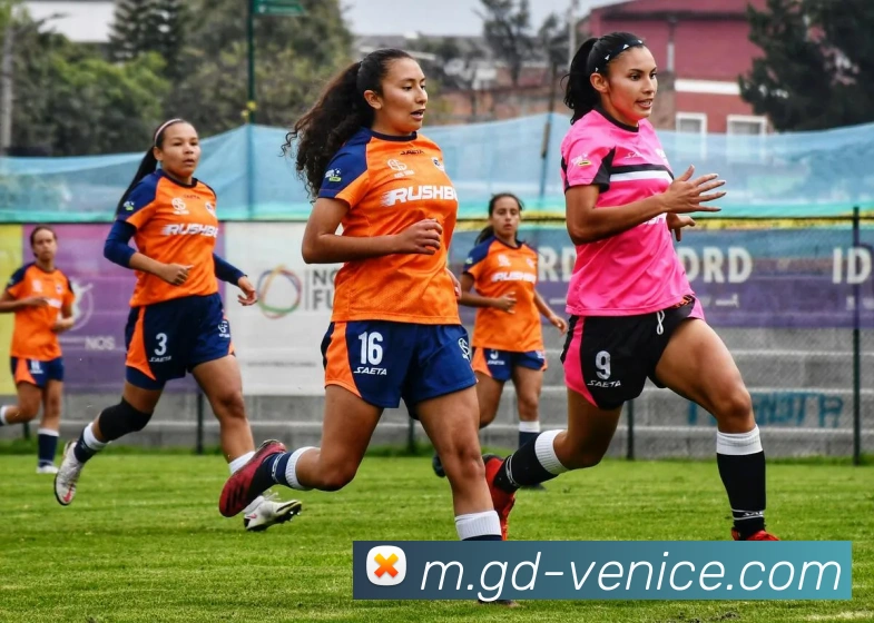 App Interface Preview